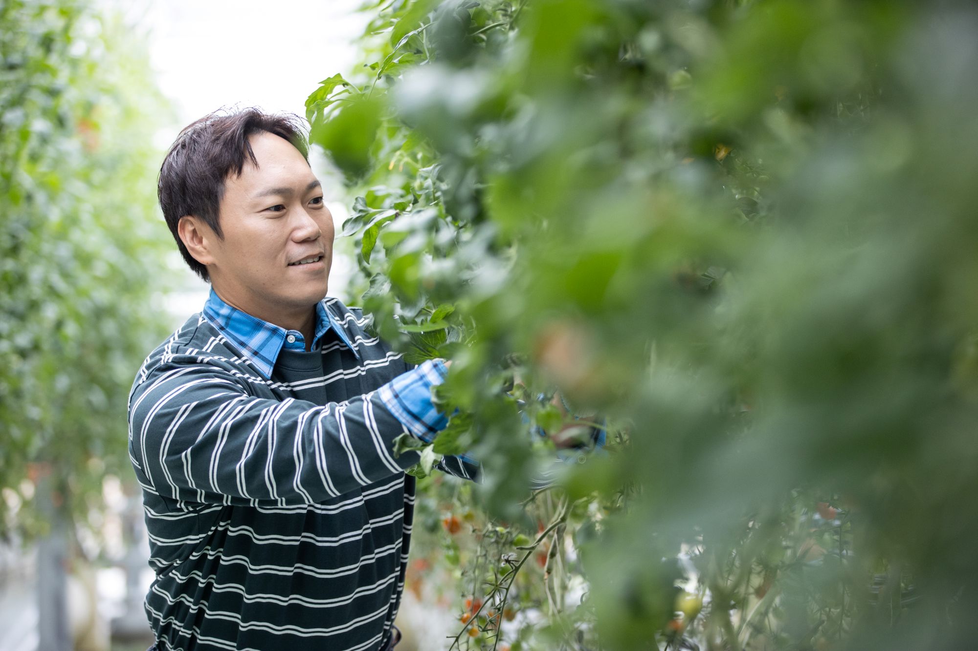 혼다 파일럿 앰버서더 송진우 배우 / 혼다코리아 제공