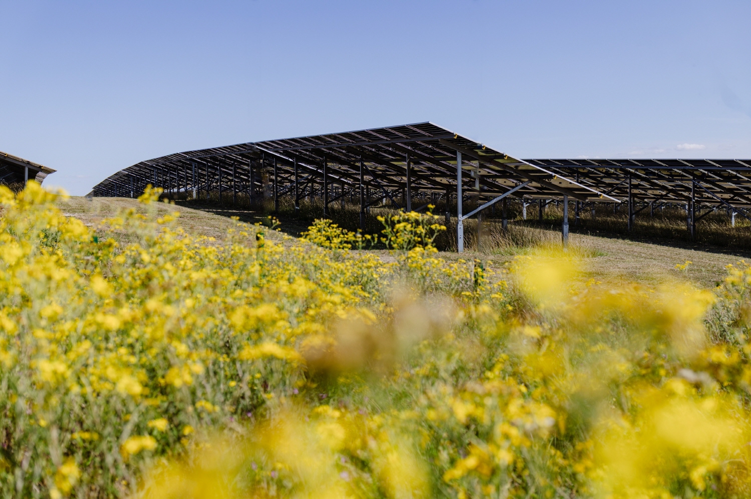 JLR 게이든 태양광 발전소 / JLR 코리아 제공